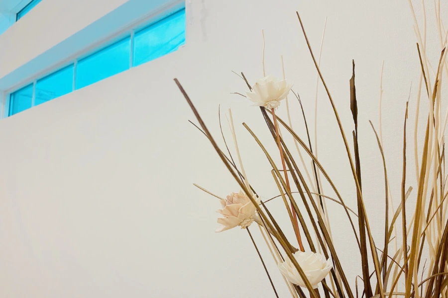 事務所に飾ってあるインテリアの花と窓